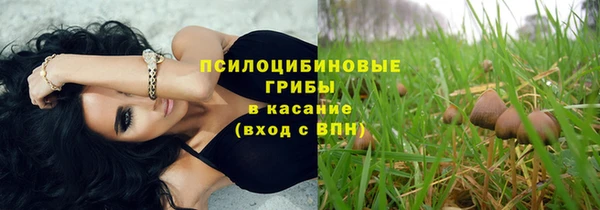 стафф Армянск