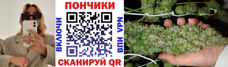 купить наркоту  Мышкин  Бошки Шишки конопля 